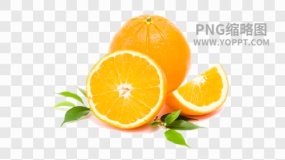 水果图片水果免抠透明图素材下载(62)