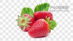 水果图片水果免抠透明图素材下载(84)