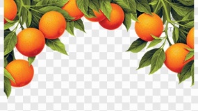 水果图片水果免抠透明图素材下载(85)