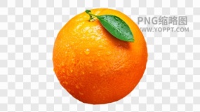 水果图片水果免抠透明图素材下载(93)