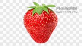水果图片水果免抠透明图素材下载(94)