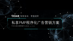 今日头条PMP程序化广告营销方案下载(36页)